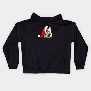 Santa Hedgehog Kids Hoodie